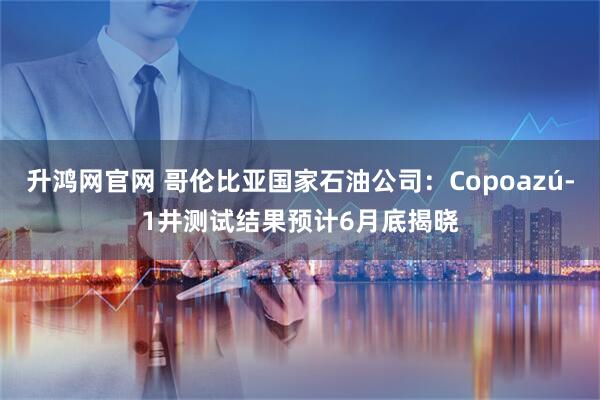 升鸿网官网 哥伦比亚国家石油公司：Copoazú-1井测试结果预计6月底揭晓