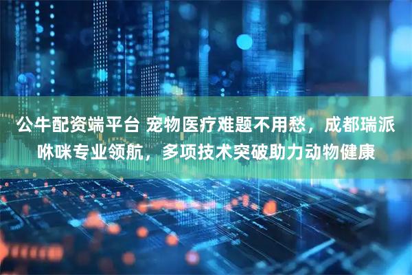 公牛配资端平台 宠物医疗难题不用愁，成都瑞派咻咪专业领航，多项技术突破助力动物健康
